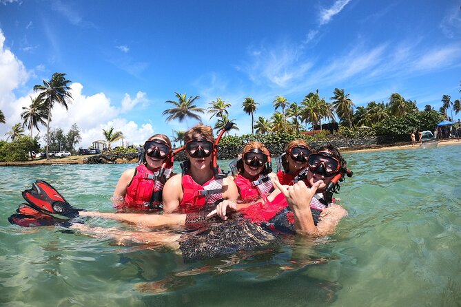 San Juan: Snorkeling with Turtles Adventure and Free Videos - The turtle hunt: what you can realistically expect