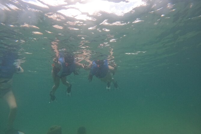 San Juan Turtle Spotting Snorkel Adventure with Videos - Before You Swim: Briefing and Gear Fitting That Actually Helps