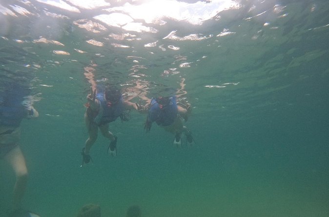 San Juan Turtle Spotting Snorkel Adventure with Videos - Videos and Photos: A Memory Without Constant Screen Time