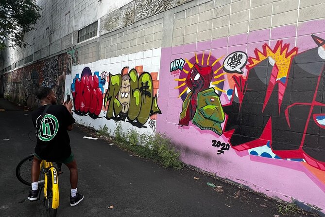San Juan Urban Art Bike Tour 2 Hour and 4 Hour Options - Bikes, fitness, and timing in San Juan street art country