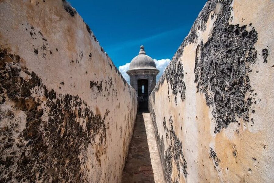 San Juan: Walking Tour with Expert Guide - San Jose Church and Plaza del Quinto Centenario Stops