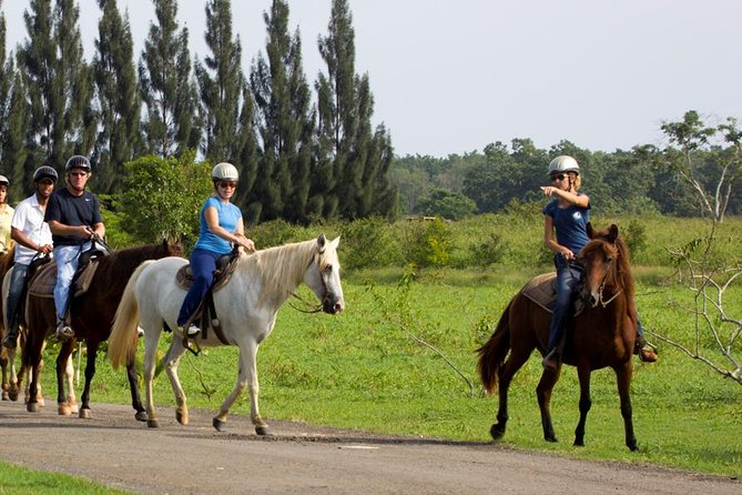 Scenic Horseback Riding Tour from San Juan - San Juan to the countryside: why the timing and transfers matter