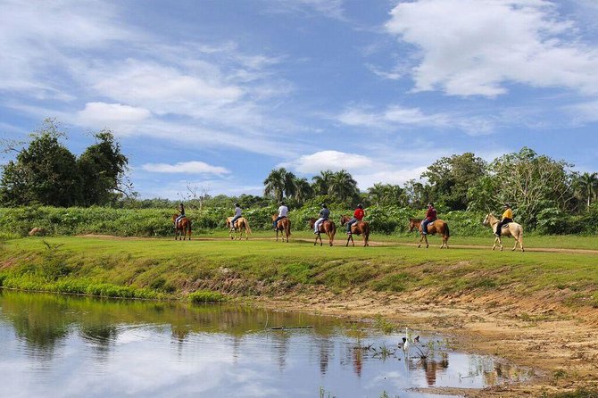 Scenic Horseback Riding Tour from San Juan - Pace on the trail: what it feels like when you trot