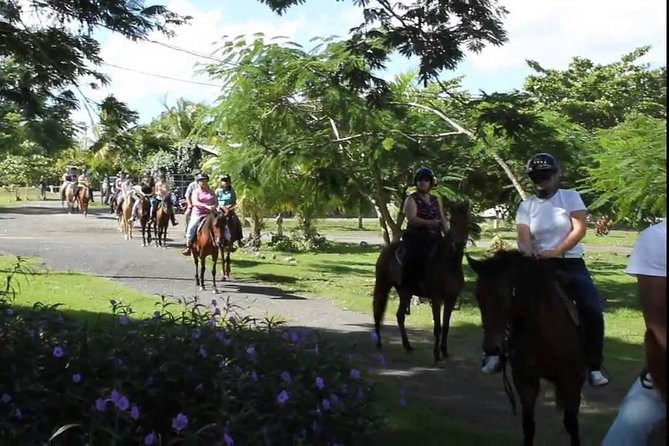 Scenic Horseback Riding Tour from San Juan - The 240 lbs weight limit: how to stay within policy and protect your day