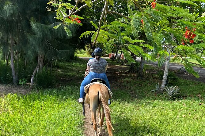 Scenic Horseback Riding Tour from San Juan - Guides and the small-group vibe: what makes it feel personal