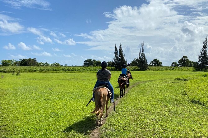 Scenic Horseback Riding Tour from San Juan - Hacienda Campo Rico: lagoons, tropical fields, and wildlife you can spot