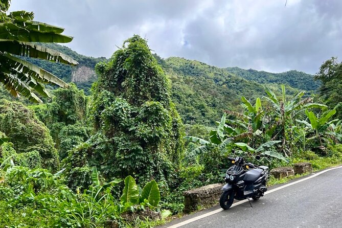 Scooter Rental San Juan Puerto Rico - How the All-Day Scooter Freedom Really Plays Out