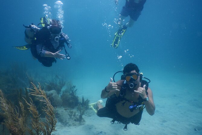 Scuba Dive and Snorkel Private Charter in Puerto Rico - Key highlights you’ll care about