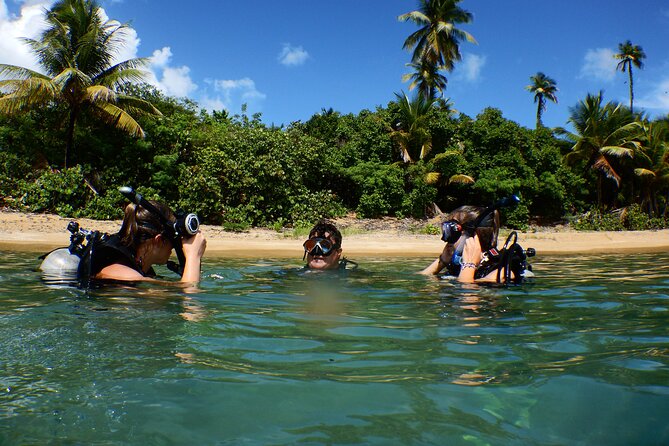 Scuba Dive and Snorkel Private Charter in Puerto Rico - A Ceiba morning where snorkeling and scuba both fit