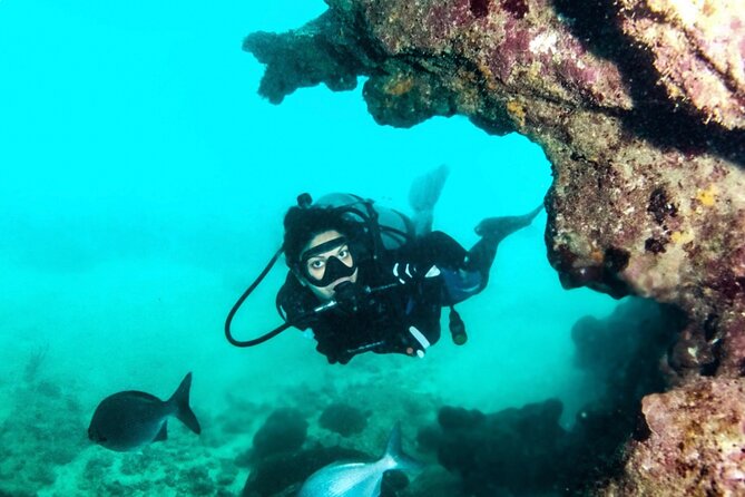 Scuba Tour for Certified Divers in San Juan - Stop 1 at Scuba Dogs in Escambrón: fish wall ruins, Atlantis replicas, and turtles