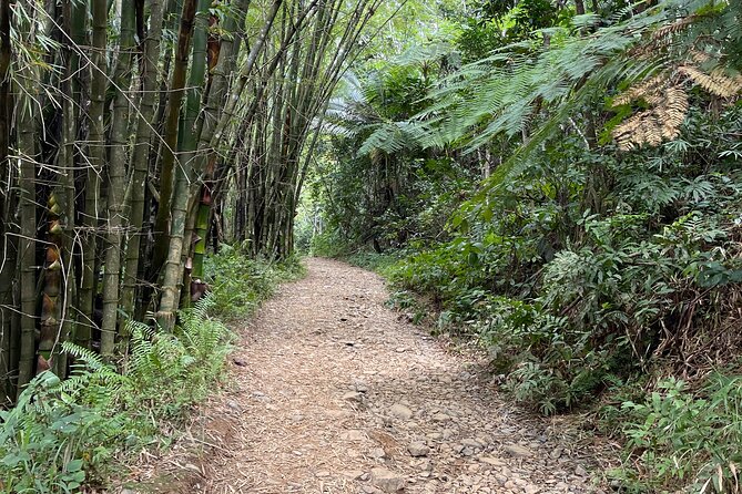 Small Group El Yunque Half Day Tour with Transport: Waterslide - Price and value at $89.25, what you get that matters