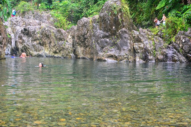 Small-Group El Yunque Rainforest Vivid Day Tour with Transport - Key things that make this El Yunque tour work