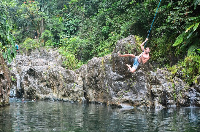 Small-Group El Yunque Rainforest Vivid Day Tour with Transport - Stop 1 on El Yunque: the 30-minute hike to the first mineral pool