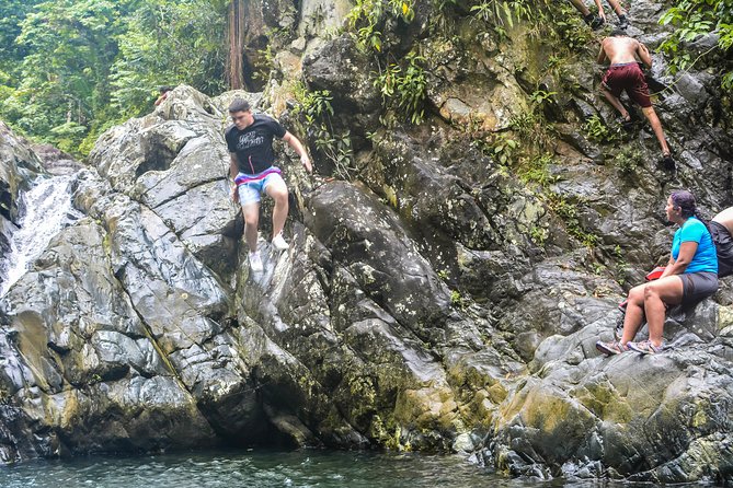 Small-Group El Yunque Rainforest Vivid Day Tour with Transport - The water activities: rope swing and cliff jump, with safety coaching