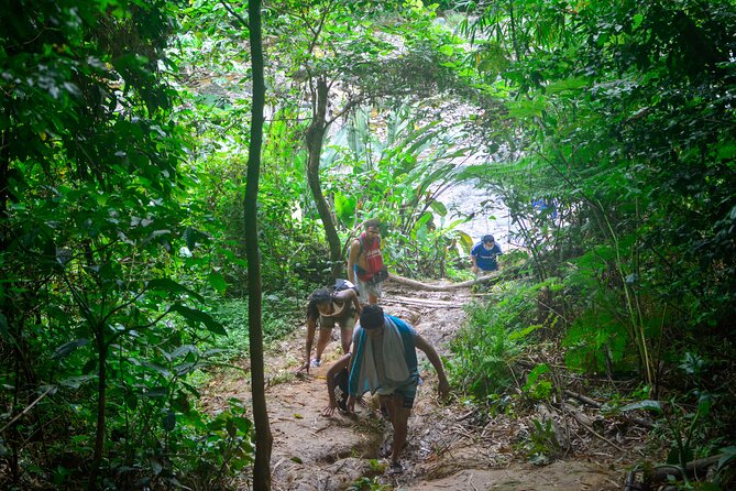 Small-Group El Yunque Rainforest Vivid Day Tour with Transport - Guides make the day: Stephanie, Patricia, Luis, Eliu, Catherine, and Taina