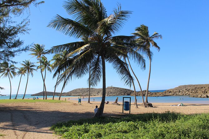 Small-Group North Coast Beach Hopping Adventure in Puerto Rico - Who this tour suits best on the north coast