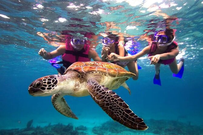 Snorkel, Swim & Snap-w/ Video - Key things I’d flag before you go