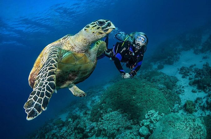 Snorkel, Swim & Snap-w/ Video - Why Southeast Puerto Rico Feels Less Like a Theme Park