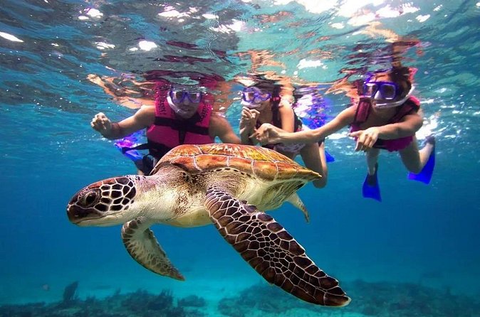 Snorkel, Swim & Snap-w/ Video - Value at $95: What You Get for the Money