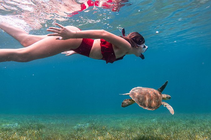 Snorkel, Swim & Snap-w/ Video - Should You Book This Puerto Rico Snorkel and Southeast Sights Tour?