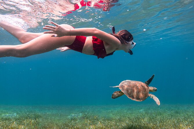Snorkel, Swim & Snap-w/ Video - El Yunque Waterfall Swim in a Quieter Rainforest Area