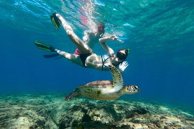 Snorkeling Adventure in Aguadilla - Key Things That Make This Tour Worth It
