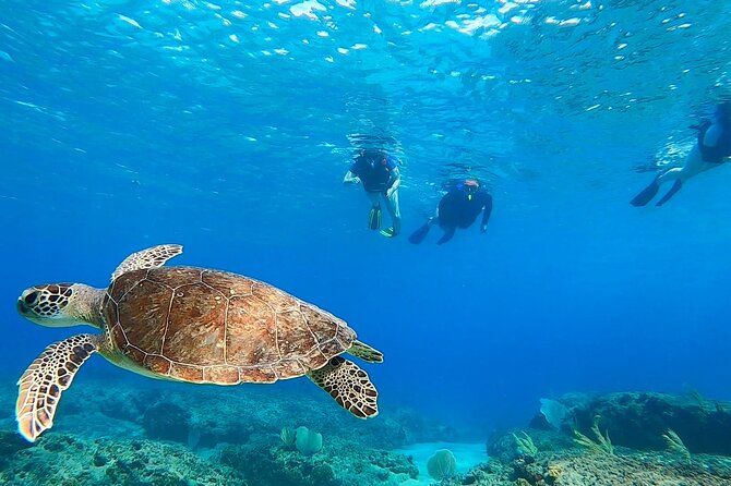 Snorkeling Adventure in Aguadilla - Where You Start in Aguadilla (and Why Morning Matters)