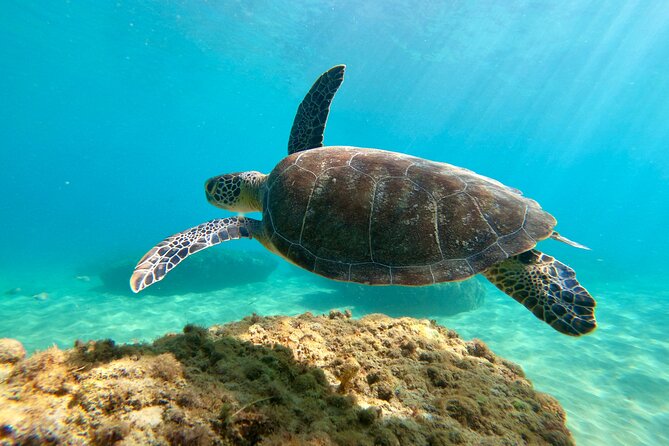 Snorkeling Adventure in Aguadilla - The Gear Is Provided, So Your Job Is Simple