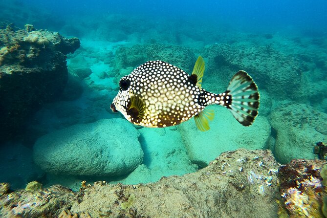 Snorkeling Adventure in Aguadilla - Carolina and Edwin Teach You to Feel Safe in the Water