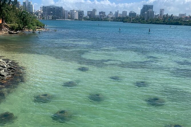 Snorkeling Guided Tour Experience in Condado Lagoon - Key things to know before you go