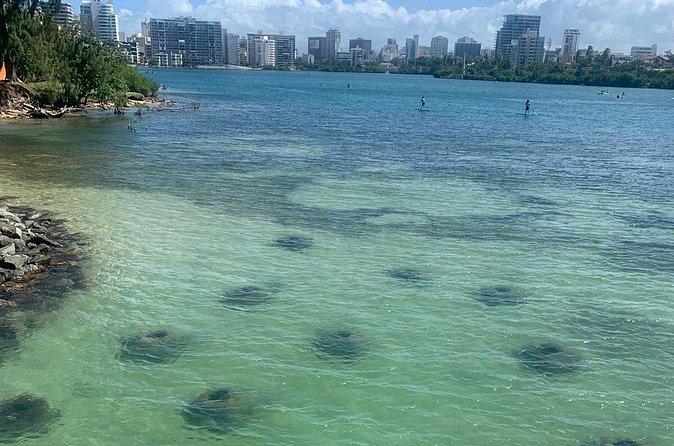 Snorkeling Guided Tour Experience in Condado Lagoon - Gear and guide support: what’s provided and what to confirm