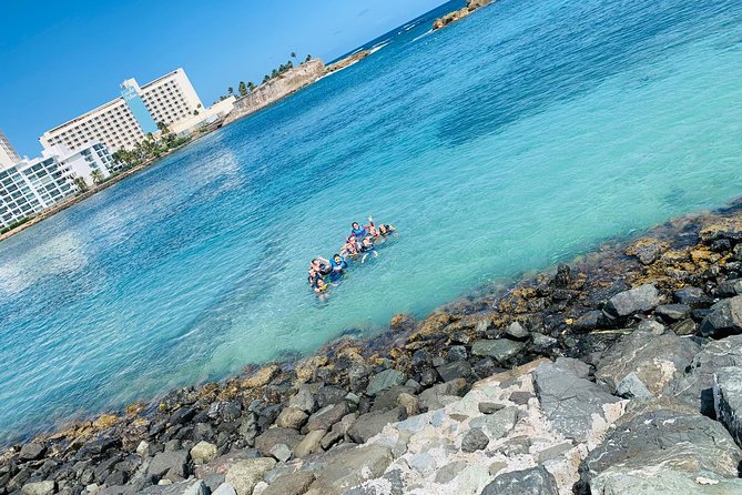 Snorkeling Guided Tour Experience in Condado Lagoon - Laguna del Condado: mangroves, marsh, and reefs in one swim