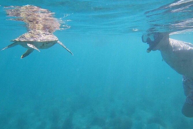 Snorkeling in Paradise - Videos Included - Escambron Beach in San Juan, the Right Place to Start