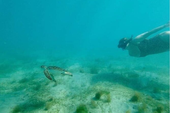 Snorkeling in Paradise - Videos Included - Entering the Water Slowly, Why the First Minutes Matter