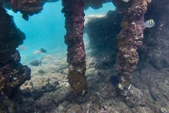 Snorkeling in Paradise - Videos Included - Videos Included: A Practical Souvenir You Can Actually Use