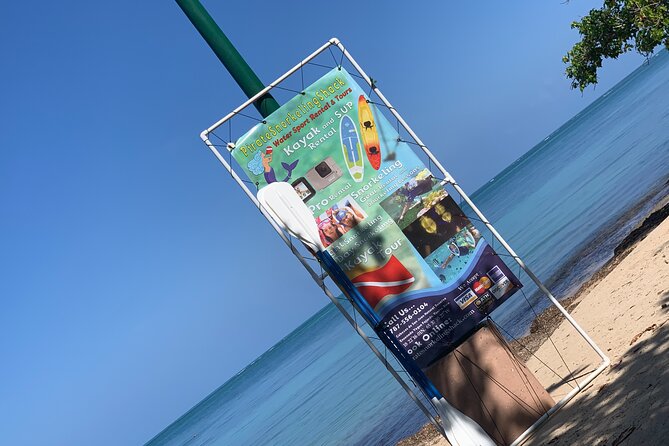 Snorkeling & Kayak Eco-Adventure in Puerto Rico - Snorkeling Off the Beach Reef: What You Can Expect