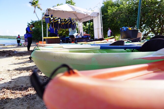 Snorkeling & Kayak Eco-Adventure in Puerto Rico - Timing, Weather, and the Realistic 3-Hour Flow