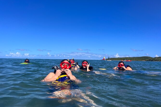 Snorkeling & Kayak Eco-Adventure in Puerto Rico - Where This Tour Fits Best in Fajardo