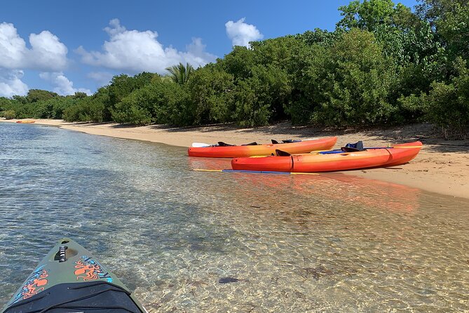 Snorkeling & Kayak Eco-Adventure in Puerto Rico - Guided Like You Mean It: Joshua, Jose, and Josie