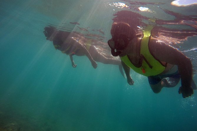 Snorkeling Lesson & Interactive Experience for Kids and Adults - Timing, lesson slots, and the 4:30 gear rental that extends your day