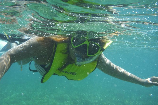 Snorkeling Lesson & Interactive Experience for Kids and Adults - Who should book this Puerto Rico snorkel lesson