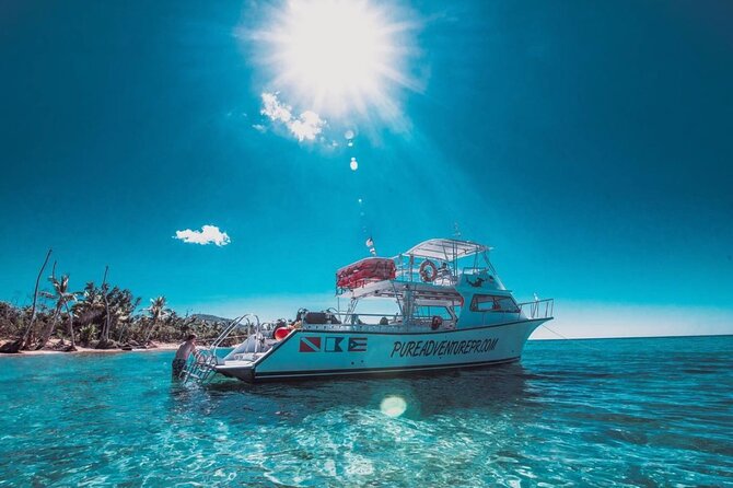 Snorkeling Tour to Vieques Island only 30 minutes away! - Vieques Snorkeling on a Half-Day Timeline That Actually Works