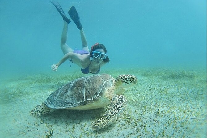 Snorkeling Tour to Vieques Island only 30 minutes away! - What You Do Once You Hit the Water Near Vieques