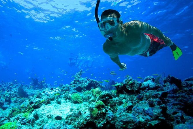 Snorkeling Tour to Vieques Island only 30 minutes away! - The Reef, the Beach Time, and Why This Combo Feels Better