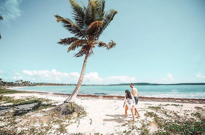 Snorkeling Tour to Vieques Island only 30 minutes away! - Who Should Book This Tour, and Who Should Skip It