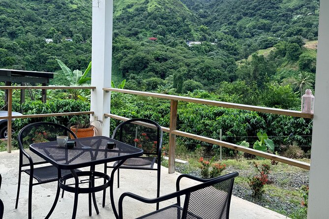 Sueños de Cafe - A Coffee Lovers Dream - Practical tips before you book this coffee lovers day