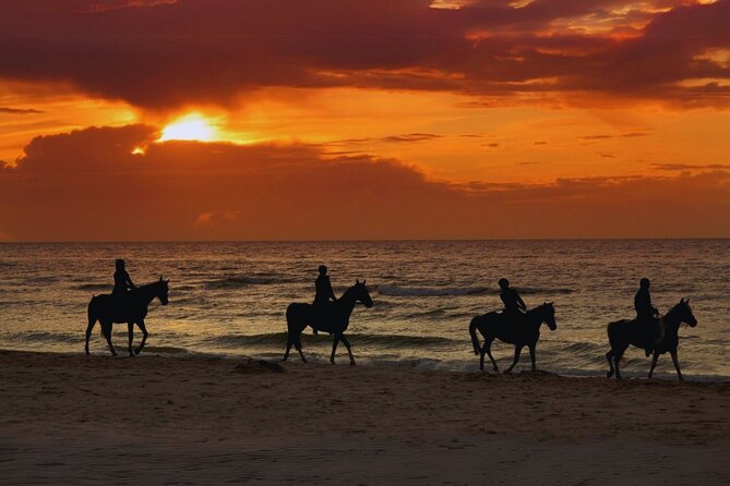 Sunset Horseback Ride by the Beach in Aguadilla, Puerto Rico - Key Things I’d Plan Around