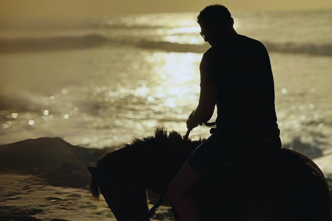 Sunset Horseback Ride by the Beach in Aguadilla, Puerto Rico - Entering the Ride: How the Horses and Guides Make This Work