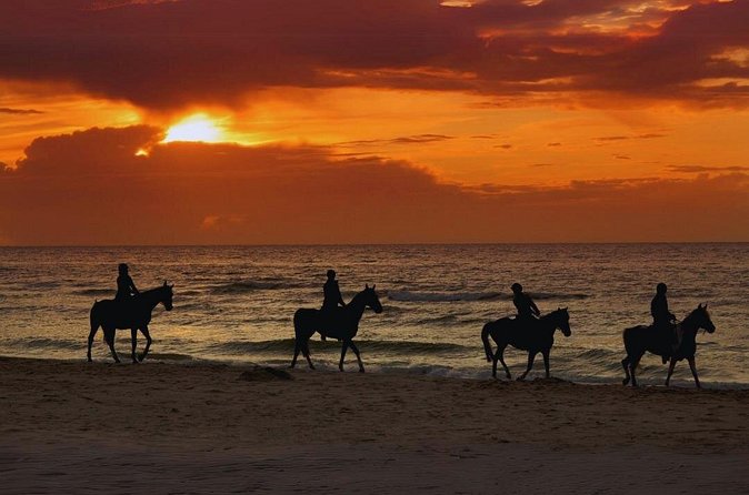 Sunset Horseback Ride by the Beach in Aguadilla, Puerto Rico - Price and Value: Is $125 per Person Worth It?