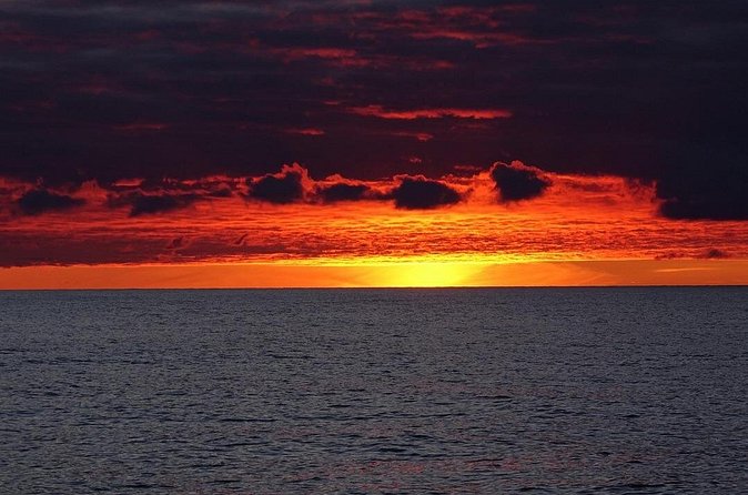 Sunset Snorkeling - Certification requirements: PADI Night Diver credential